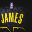leadership lessons from Lebron James